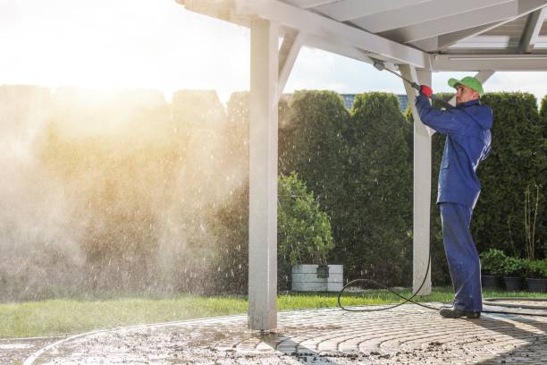 Best Solar Panel Cleaning  in Callaway, MD